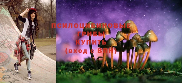 мдма Богородицк