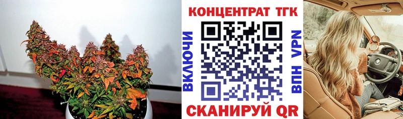где найти наркотики  Моршанск  Дистиллят ТГК Wax 